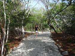 Royal Caribbean's Haiti walkway