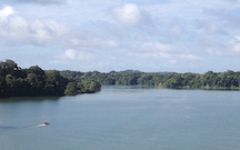 Gatun Lake