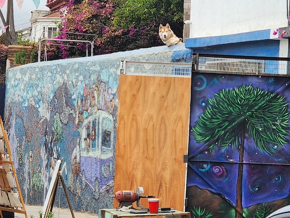 Valparaiso Information