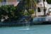dolphin2Dec07_1