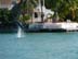 dolphinDec07
