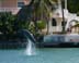 dolphinDec07_2