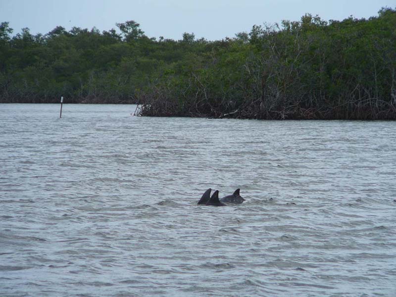 Dec2206KeyLargo105