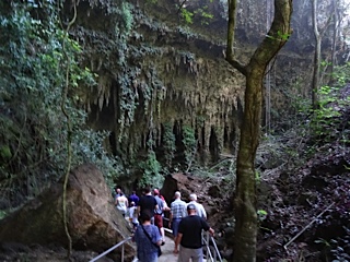 Rio Camuy Cave