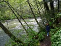 alaska photo
